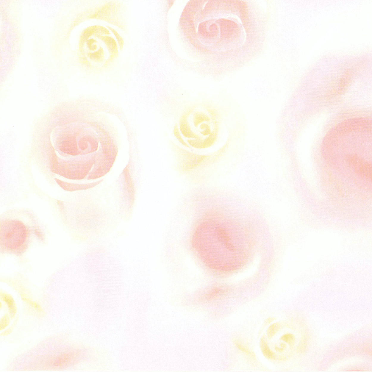 エターナルスイート